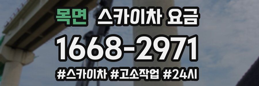 목면 스카이차 요금