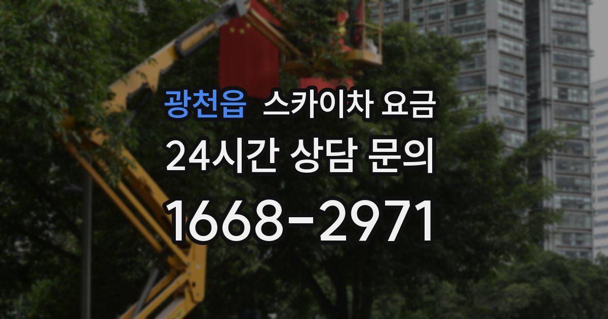 광천읍 스카이차 요금