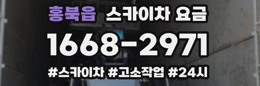 홍북읍 스카이차 요금