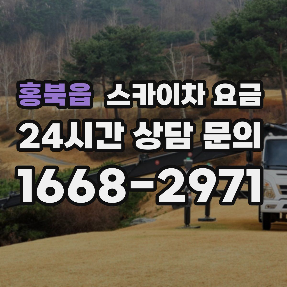 홍북읍 스카이차 요금