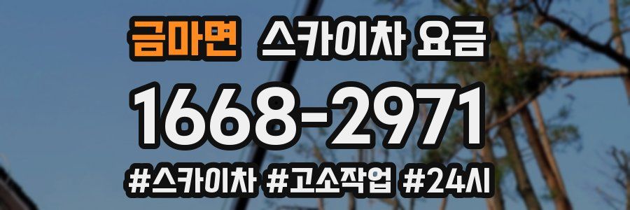금마면 스카이차 요금