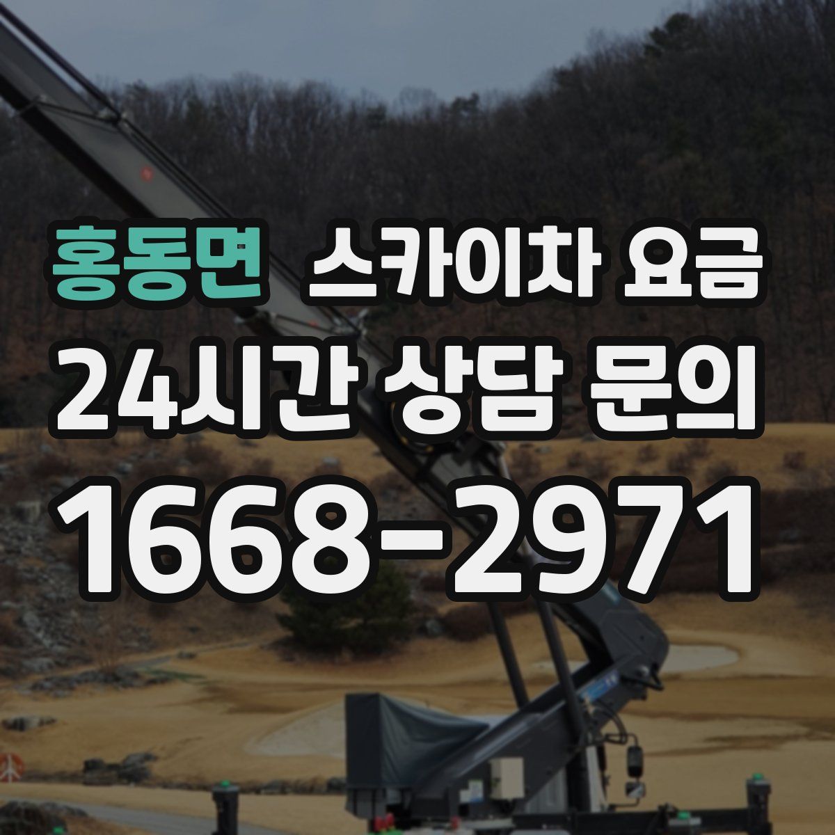 홍동면 스카이차 요금