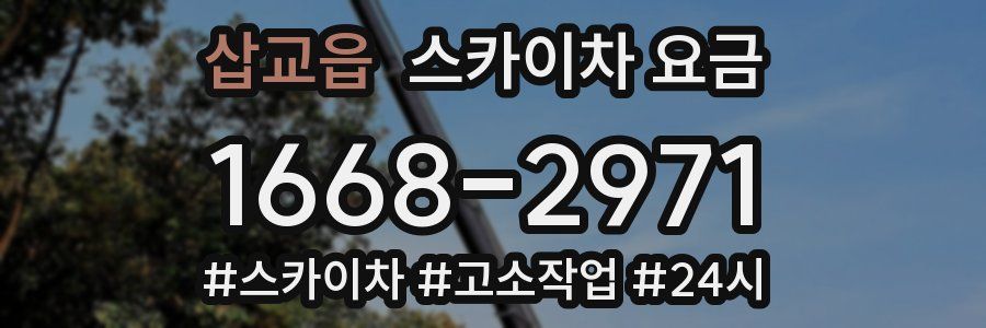 삽교읍 스카이차 요금