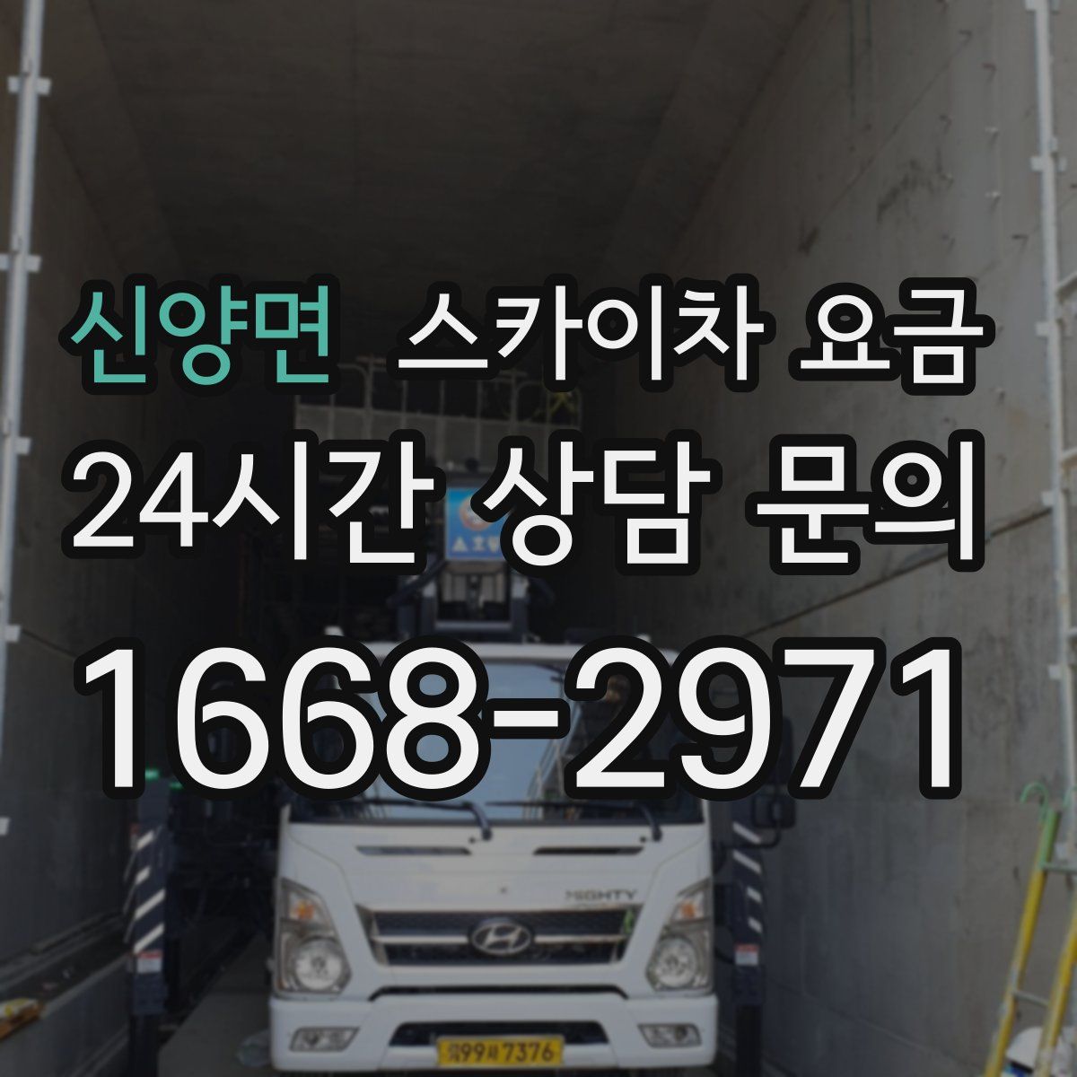 신양면 스카이차 요금