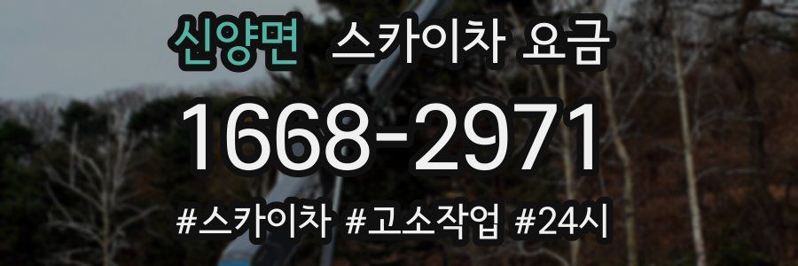 신양면 스카이차 요금