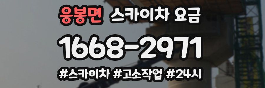 응봉면 스카이차 요금