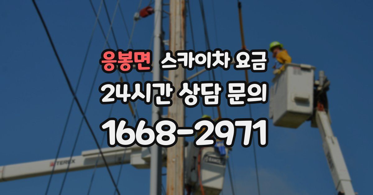 응봉면 스카이차 요금