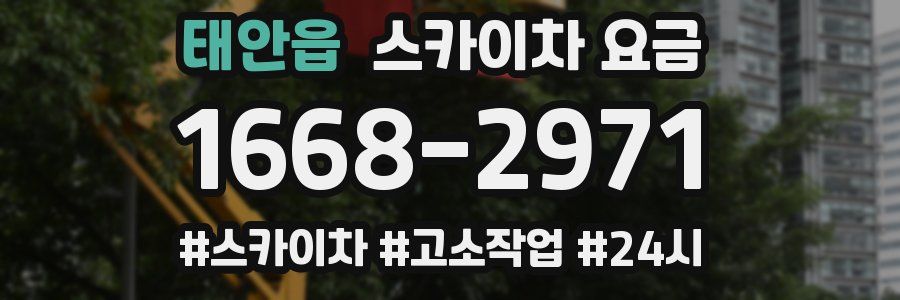 태안읍 스카이차 요금
