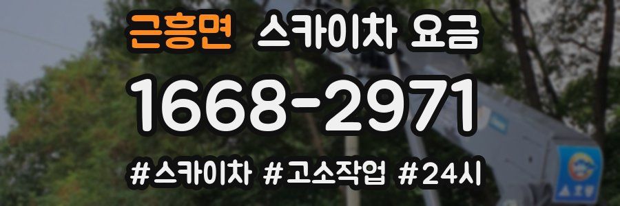 근흥면 스카이차 요금