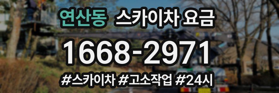 연산동 스카이차 요금