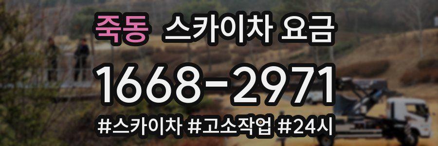 죽동 스카이차 요금