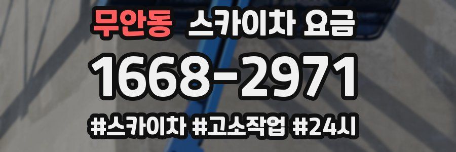 무안동 스카이차 요금