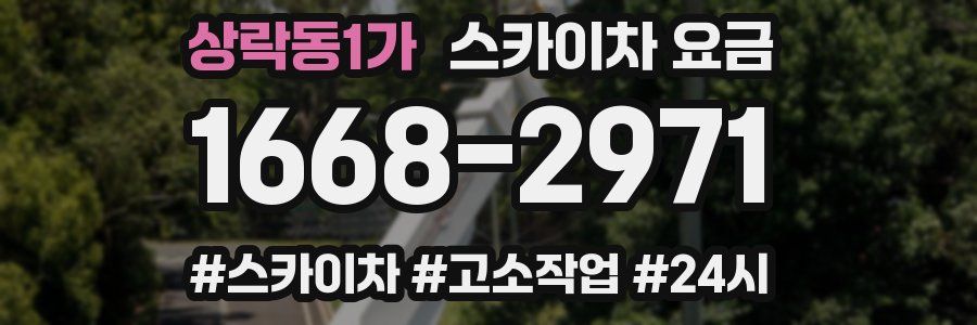 상락동1가 스카이차 요금