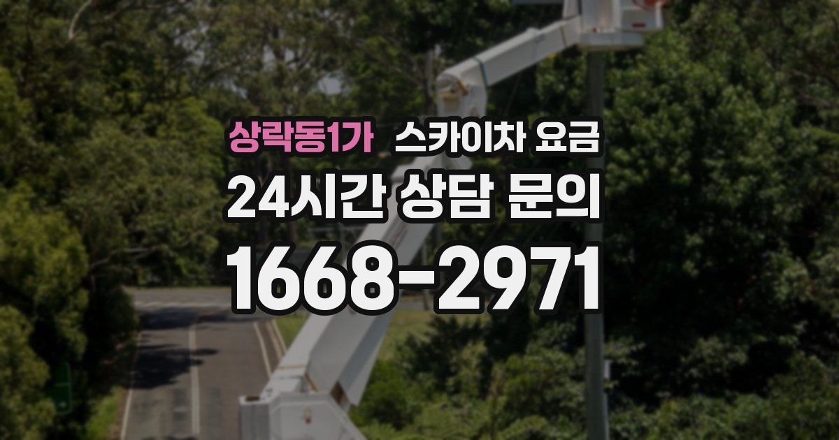 상락동1가 스카이차 요금