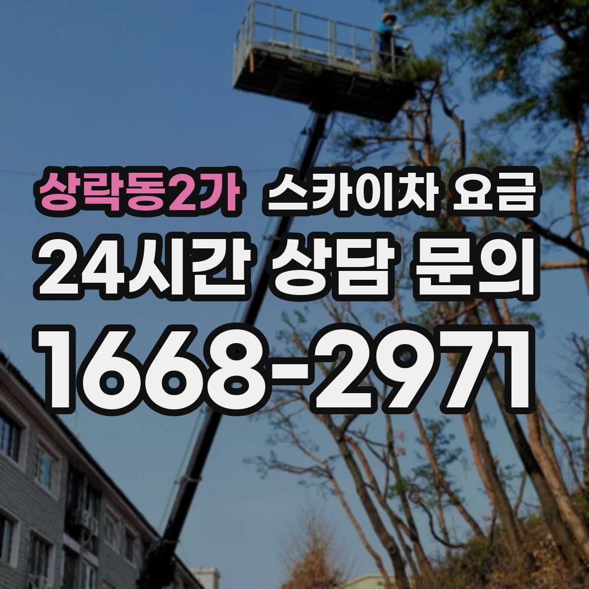 상락동2가 스카이차 요금