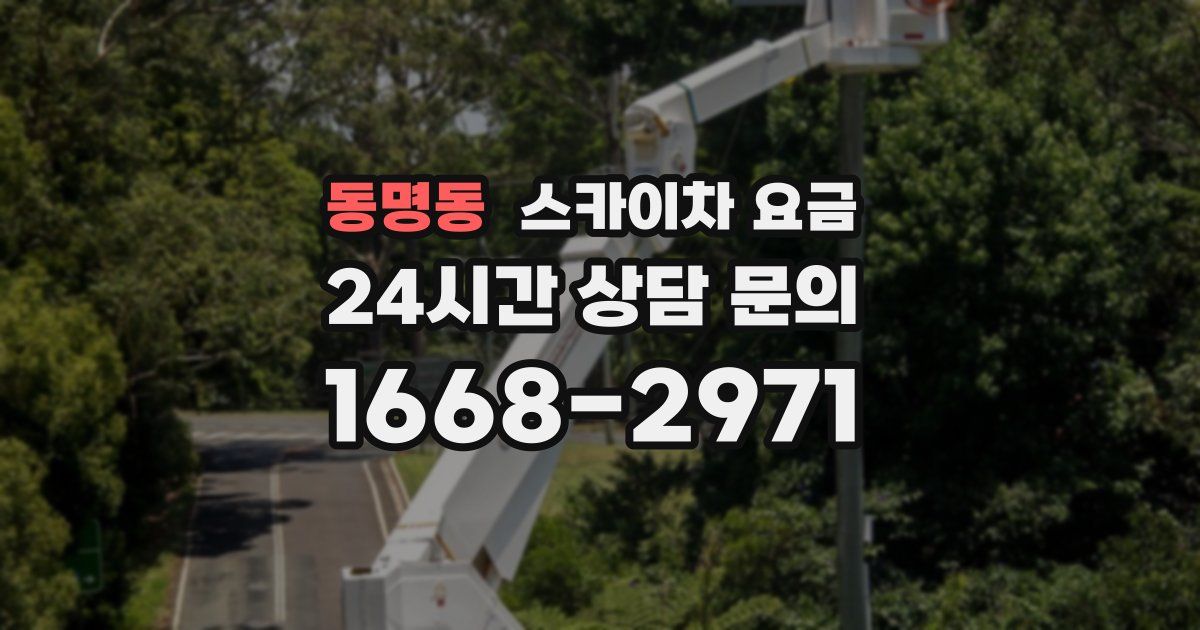 동명동 스카이차 요금