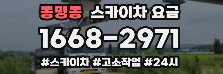 동명동 스카이차 요금