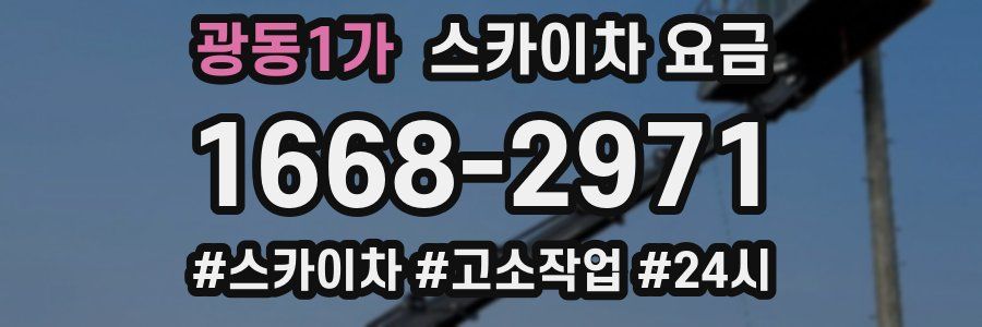 광동1가 스카이차 요금