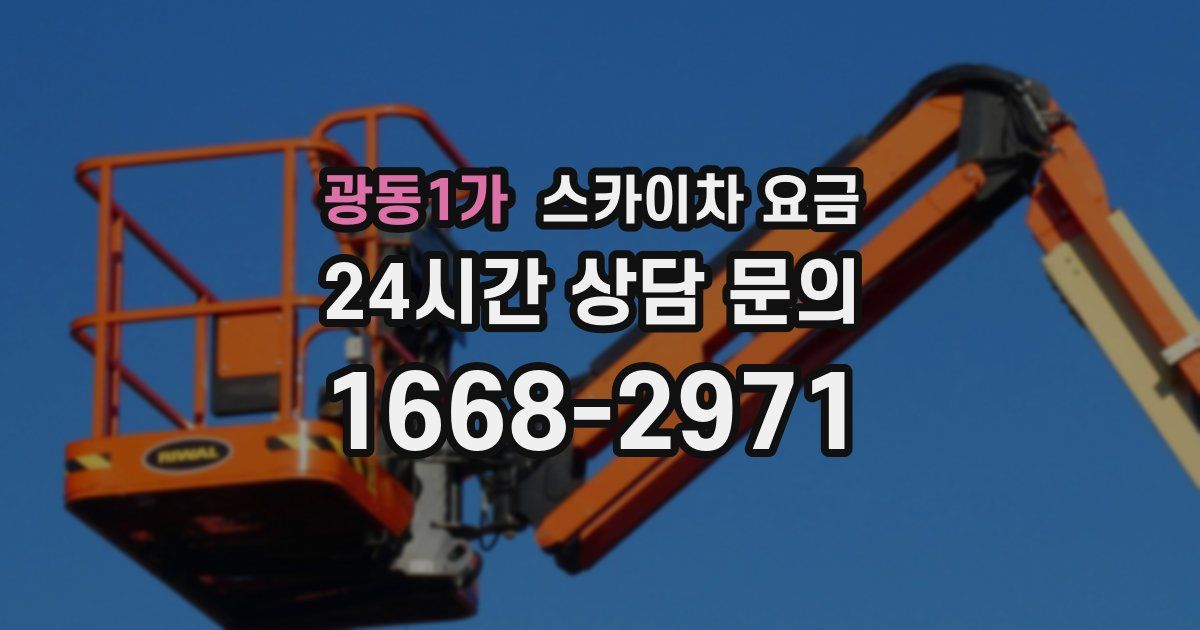 광동1가 스카이차 요금