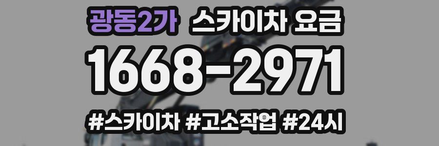 광동2가 스카이차 요금