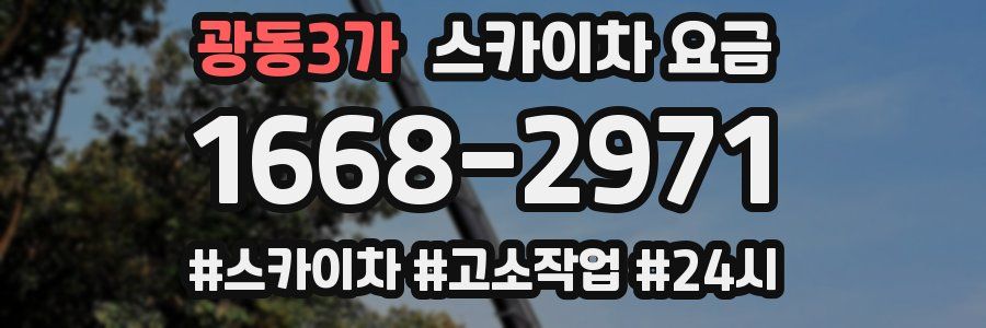광동3가 스카이차 요금