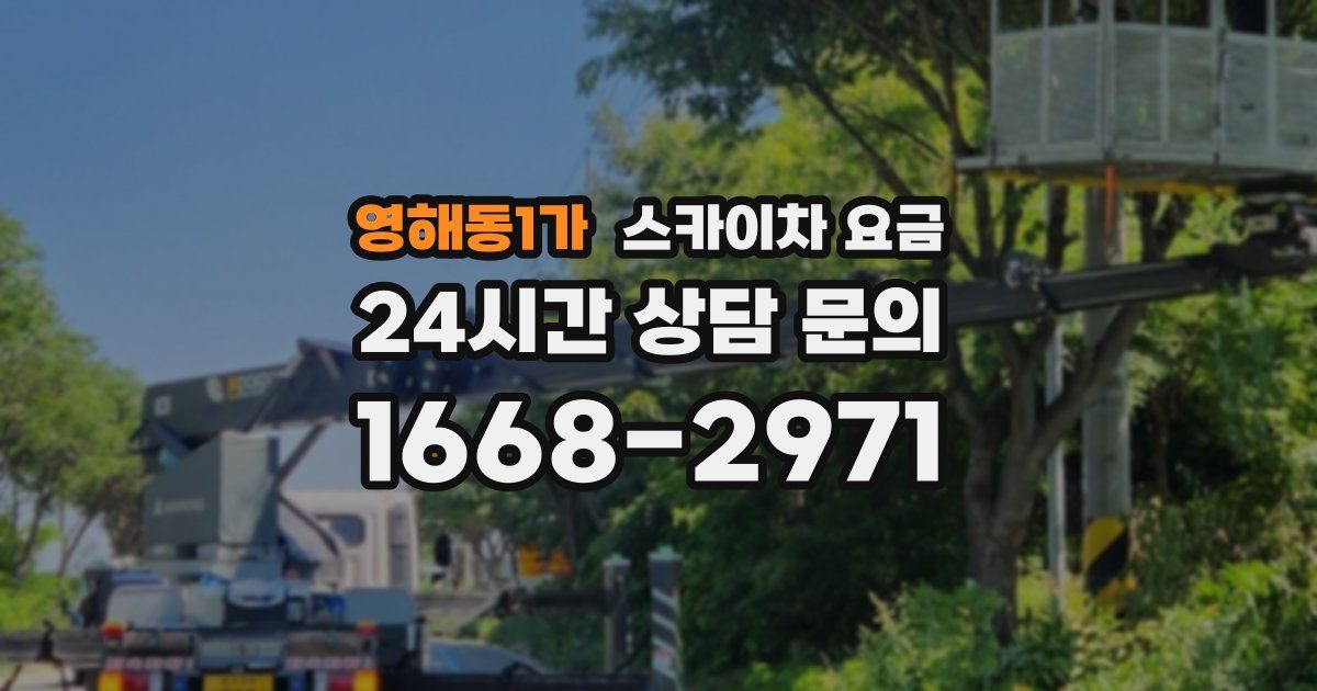 영해동1가 스카이차 요금