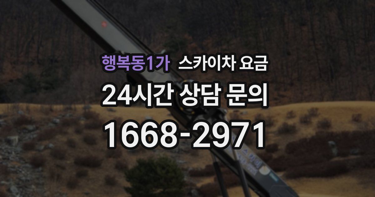 행복동1가 스카이차 요금