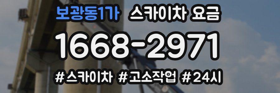 보광동1가 스카이차 요금