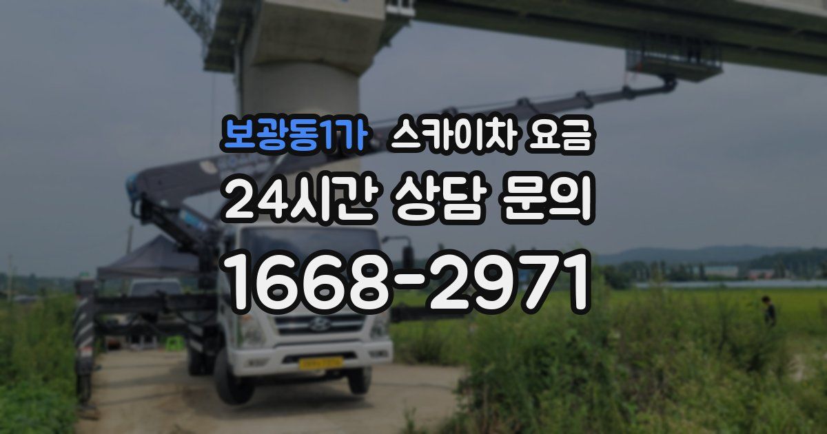보광동1가 스카이차 요금