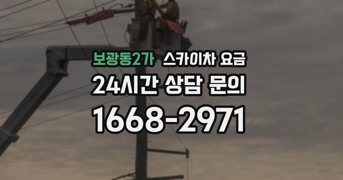 보광동2가 스카이차 요금
