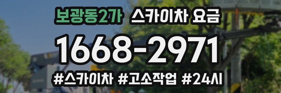보광동2가 스카이차 요금