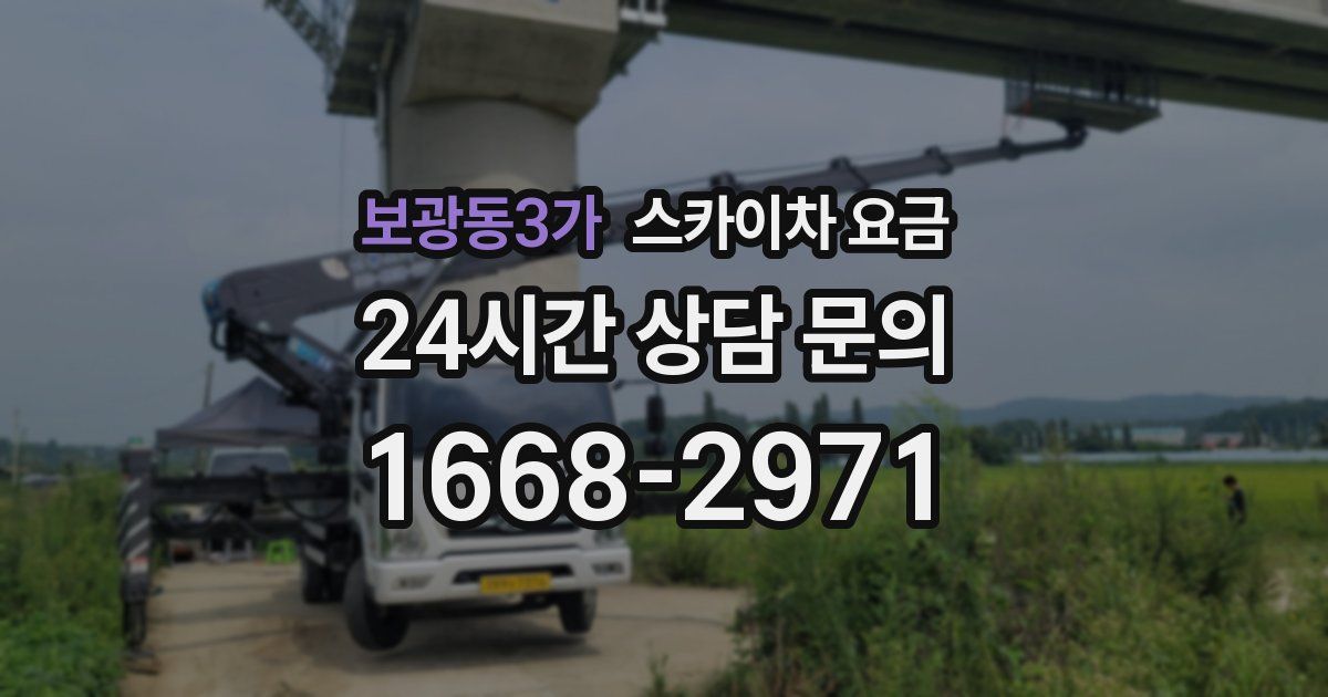 보광동3가 스카이차 요금