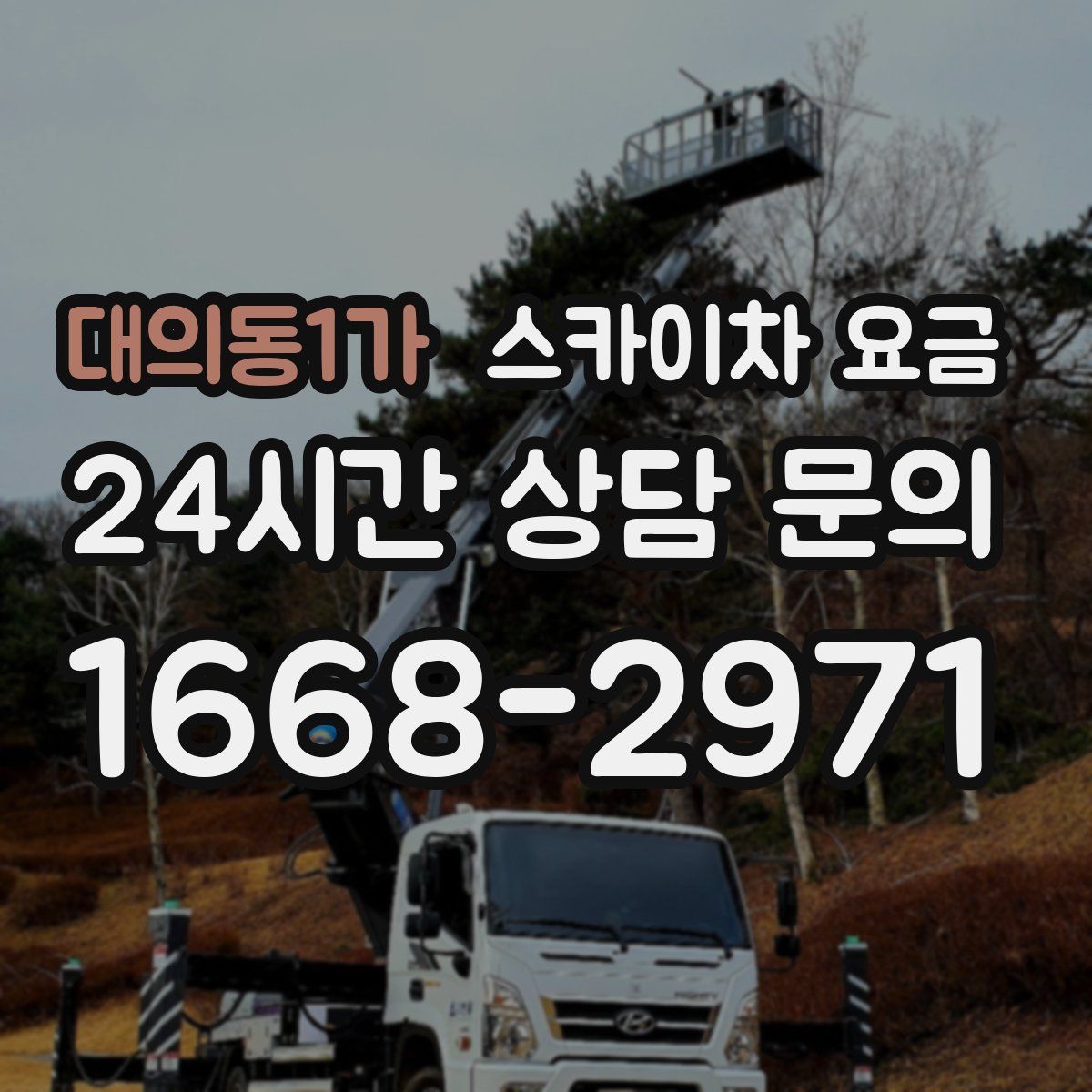 대의동1가 스카이차 요금