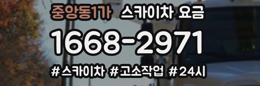 중앙동1가 스카이차 요금