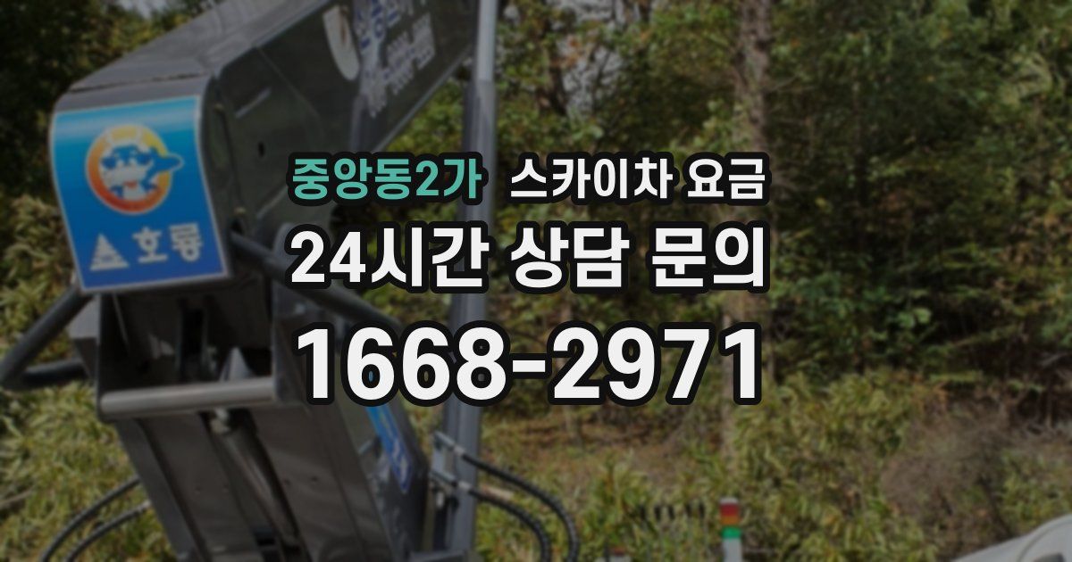 중앙동2가 스카이차 요금