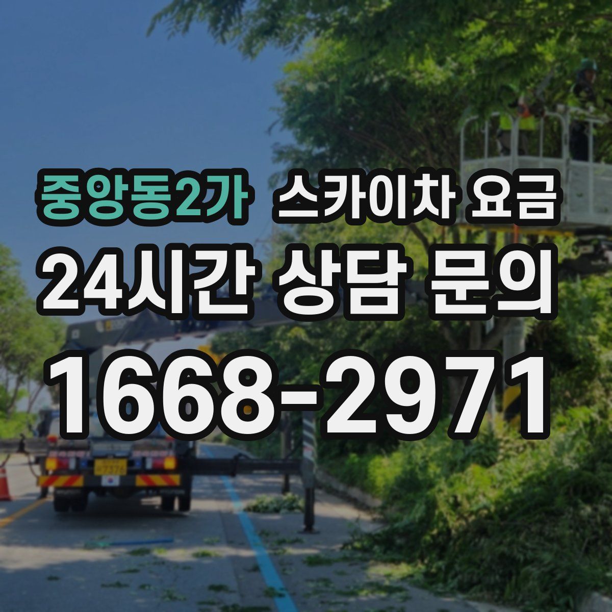중앙동2가 스카이차 요금