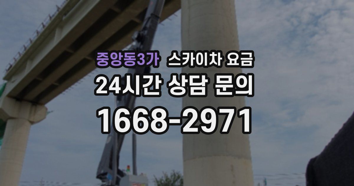 중앙동3가 스카이차 요금