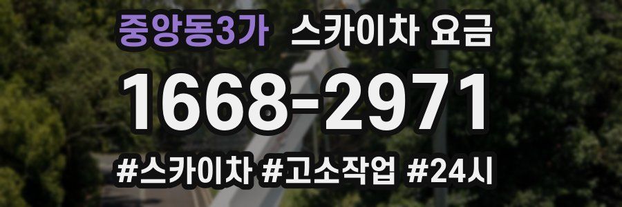 중앙동3가 스카이차 요금