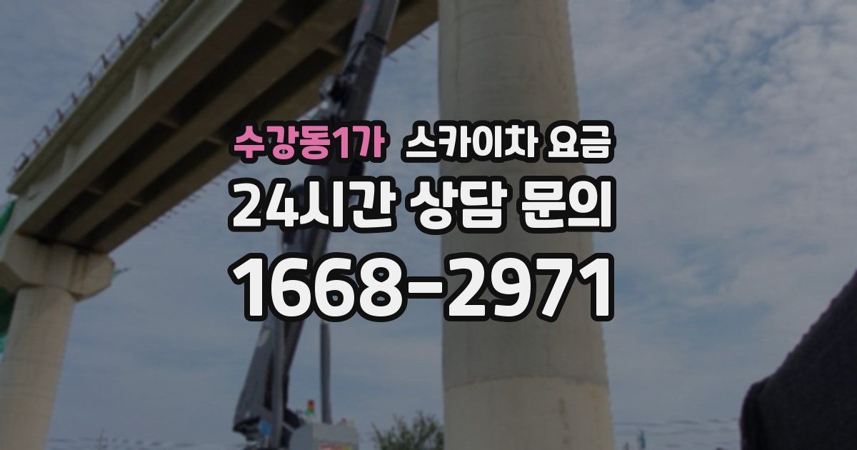 수강동1가 스카이차 요금