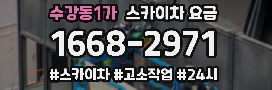 수강동1가 스카이차 요금