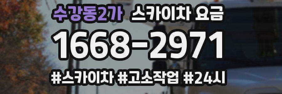 수강동2가 스카이차 요금