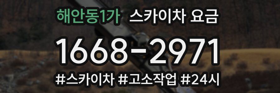 해안동1가 스카이차 요금