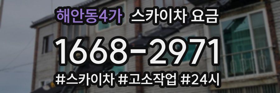 해안동4가 스카이차 요금