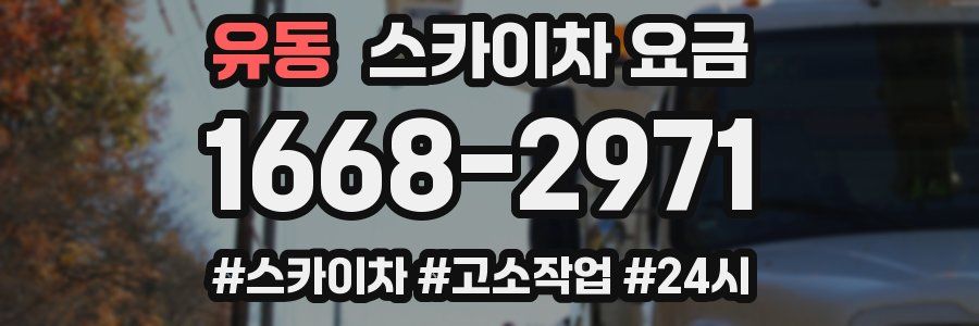유동 스카이차 요금