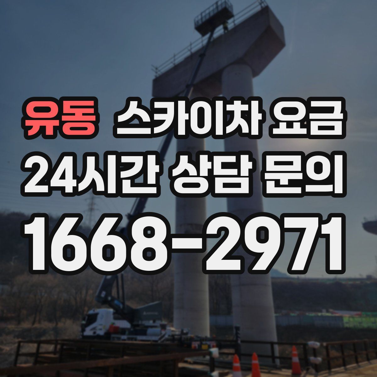 유동 스카이차 요금