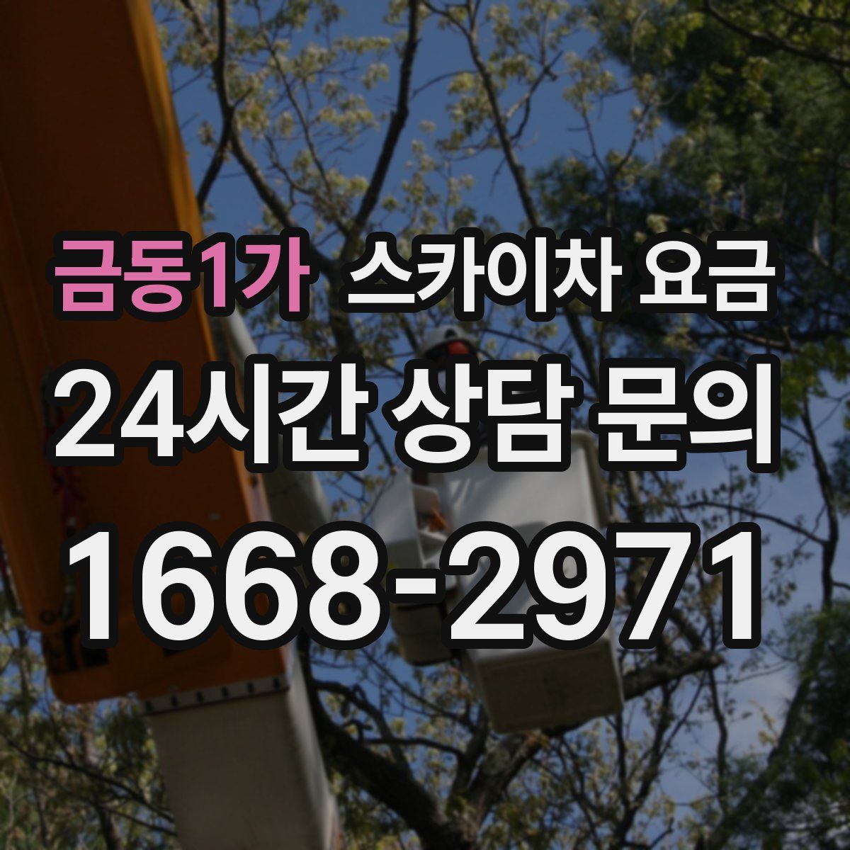 금동1가 스카이차 요금