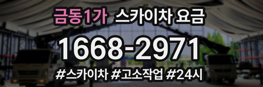 금동1가 스카이차 요금