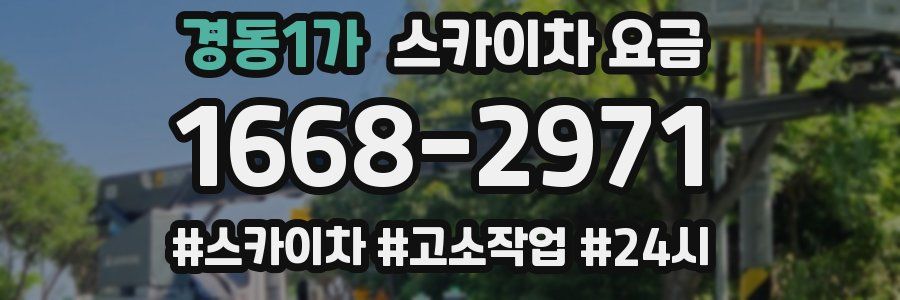 경동1가 스카이차 요금