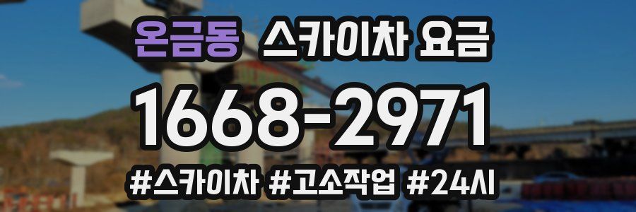 온금동 스카이차 요금