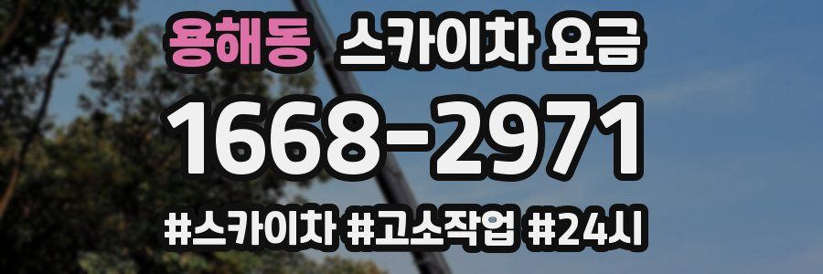 용해동 스카이차 요금